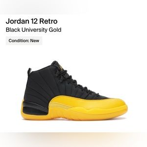 Nike Air Jordan retro 12 shoe